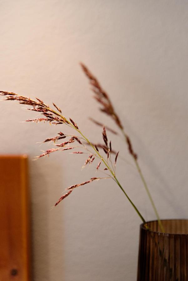 Apartament Kamini Kávos